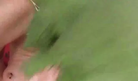 - ચેક વિદ્યાર્થીઓ porn Alaina ફોક્સ અભિનિત ગરમ બપોરે